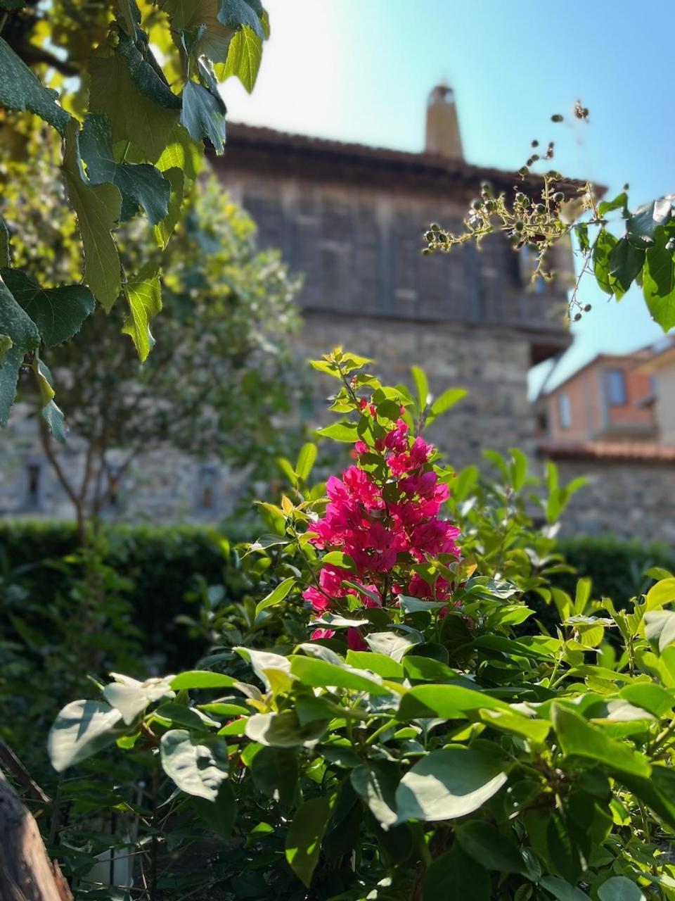 Family Hotel Emilia ソゾポル エクステリア 写真